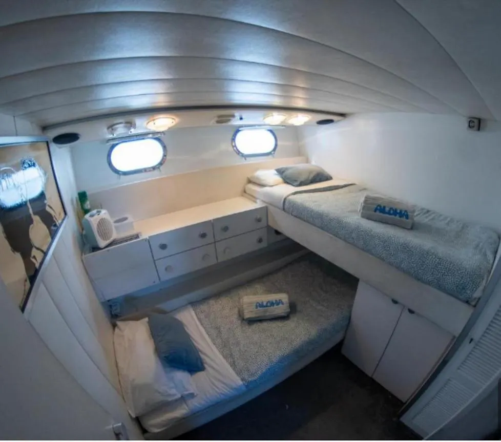فندق Charter Boat برشلونة 0*,  إسبانيا